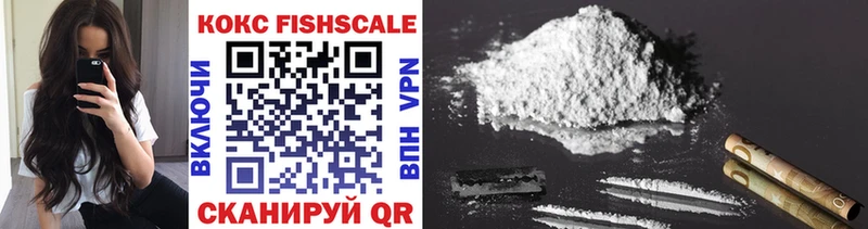 COCAIN FishScale  MEGA как войти  Гатчина 