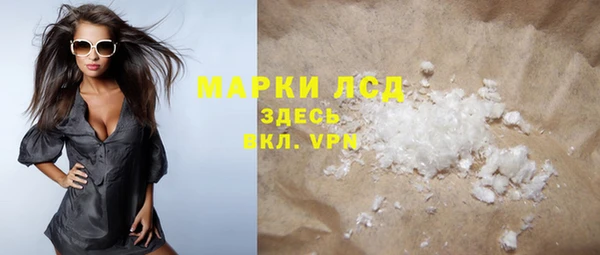прущие грибы Белокуриха