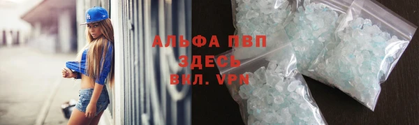 прущие грибы Белокуриха