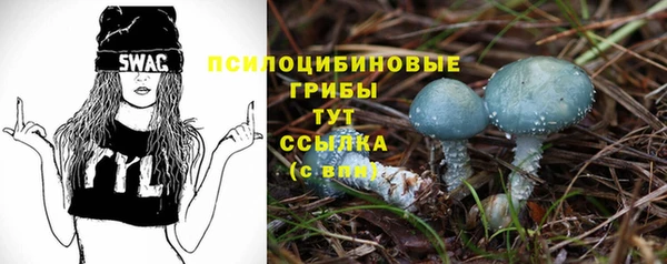 гашиш Беломорск