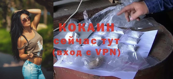прущие грибы Белокуриха