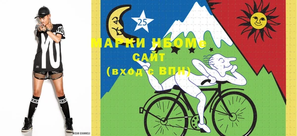 шишки Богородск