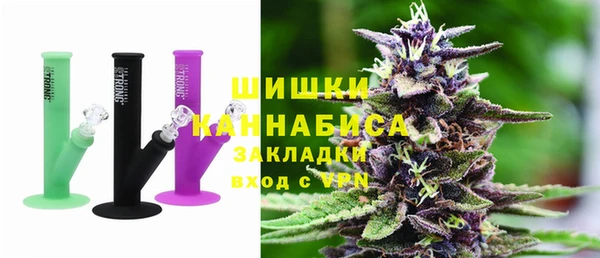 прущие грибы Белокуриха