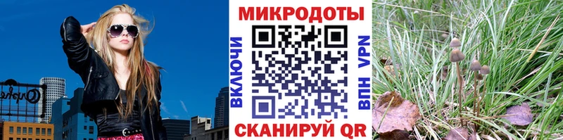 Галлюциногенные грибы MAGIC MUSHROOMS  Гатчина 