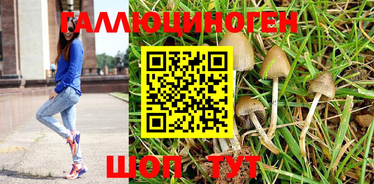 Псилоцибиновые грибы Magic Shrooms Гатчина