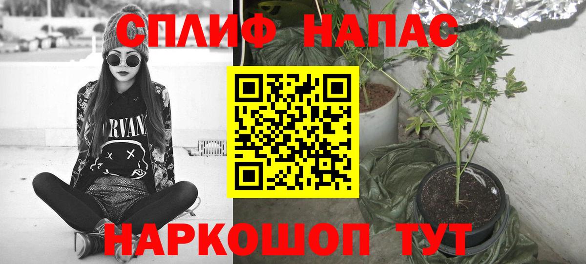 Бошки марихуана сатива  Гатчина  Бошки Шишки план 